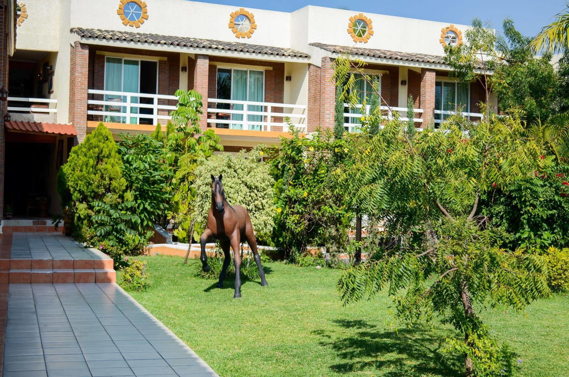 Hotel Quinta La Estampida Xochitepec Zewnętrze zdjęcie
